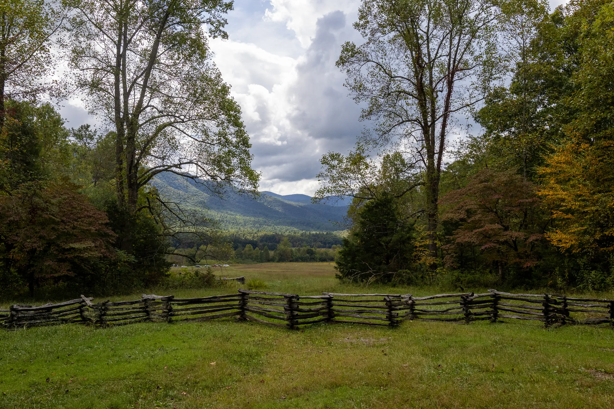 Mountain view through the treeline past a vintage log stacked style fence