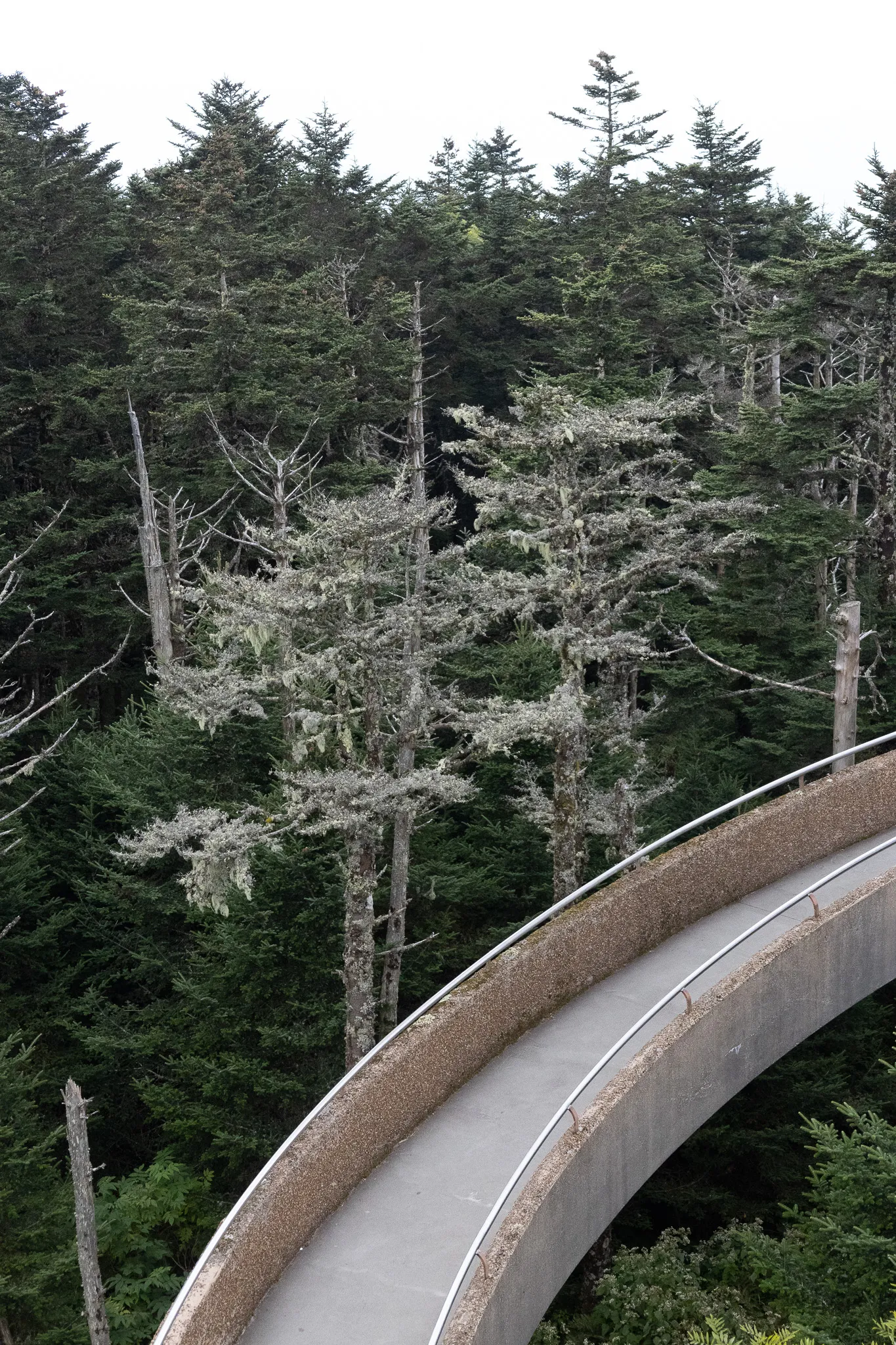 View from atop Clingman's Dome, looking down on the walkway and trees