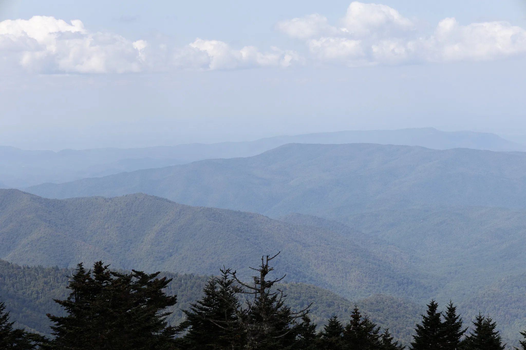 View from Clingman's Dome looking out above the Smokey Mountains