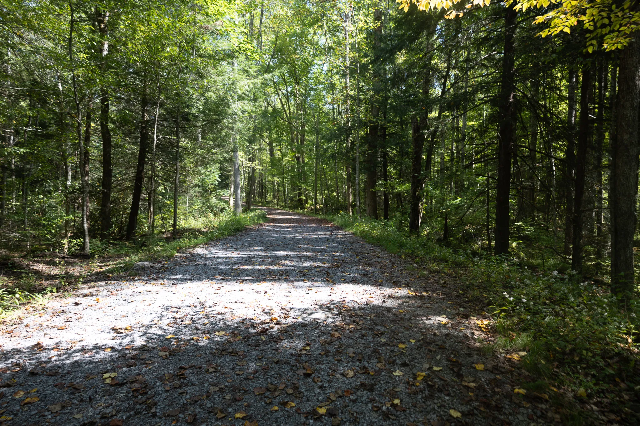 Scenic gravel hikung trail through the woods of the Smokey Mountains